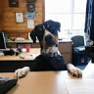 Meet your Posher, Elora